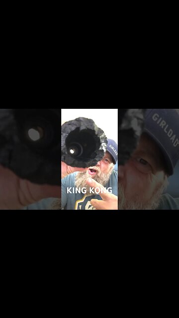 Things Dasher Destroyed : KONG #shorts #kong #dog #dingo #chewtoy #goat