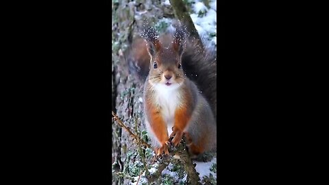 On cold days, don't forget to take care of animals that live outside.