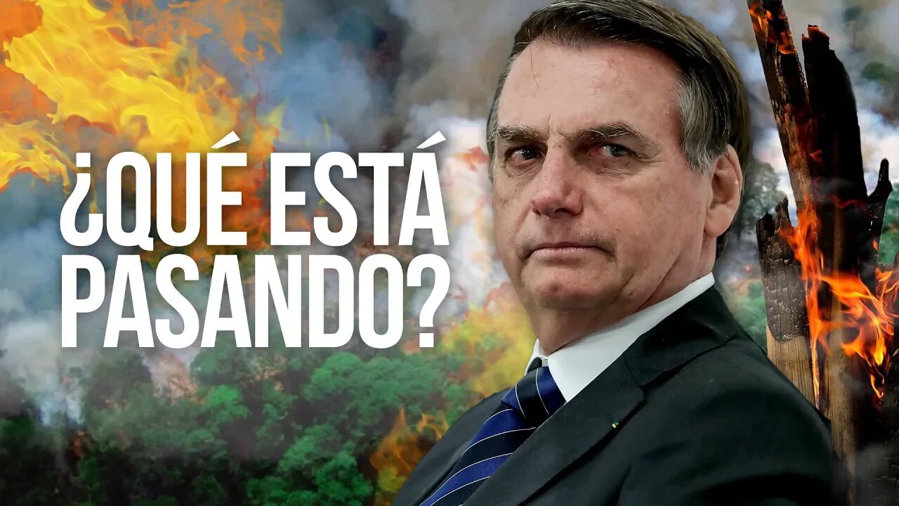 Top 5 Cosas Que Tienen Que Saber De Los Incendios Del Amazonas | ¿Falso? Como Ayudar