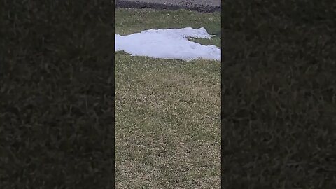 light snow