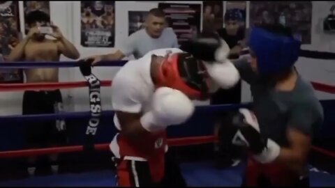 Devin Haney shares clips of Rolly sparring session