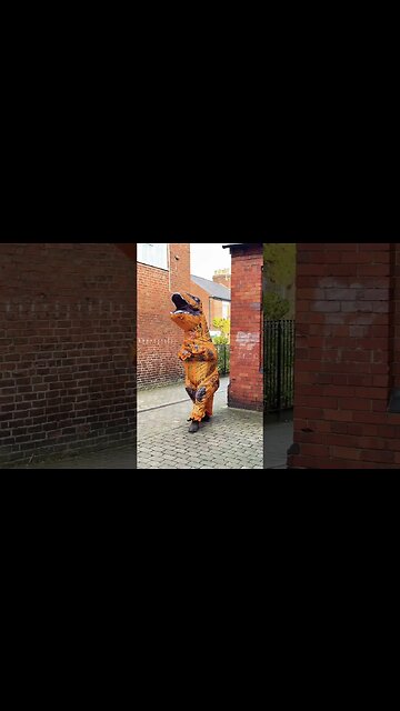 Preparing for the Christmas Parade this week… #viral #dinosaur #dinosaursofoswestry #costume