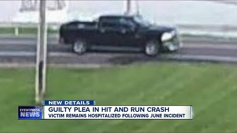 Guilty Plea in hit and run crash