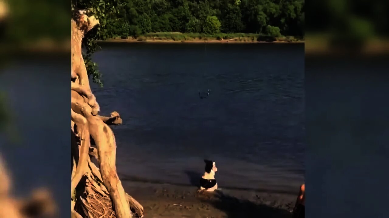 I didn't expect to see this😂😂😂#shorts