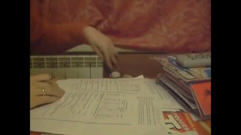 A helpful cat