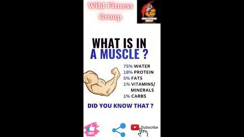 🔥What is in a muscle🔥#fitness🔥#wildfitnessgroup🔥#shorts🔥