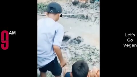 Try Not To Laugh Funny Videos - Funny Moments Of The Year Compilation 😆😆😆