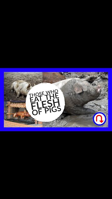 Those Who Eat the Flesh of Pigs