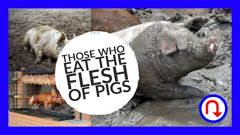 Those Who Eat the Flesh of Pigs