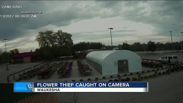 Waukesha flower theft caught on camera