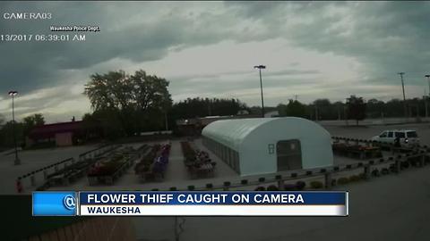 Waukesha flower theft caught on camera