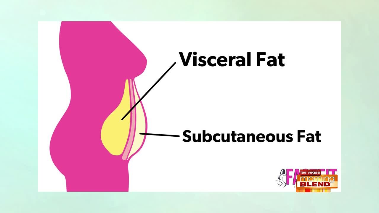 The Dangers Of Visceral Fat