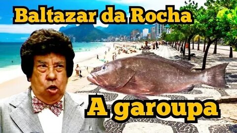 Escolinha do Professor Raimundo; Baltazar da Rocha, a garoupa