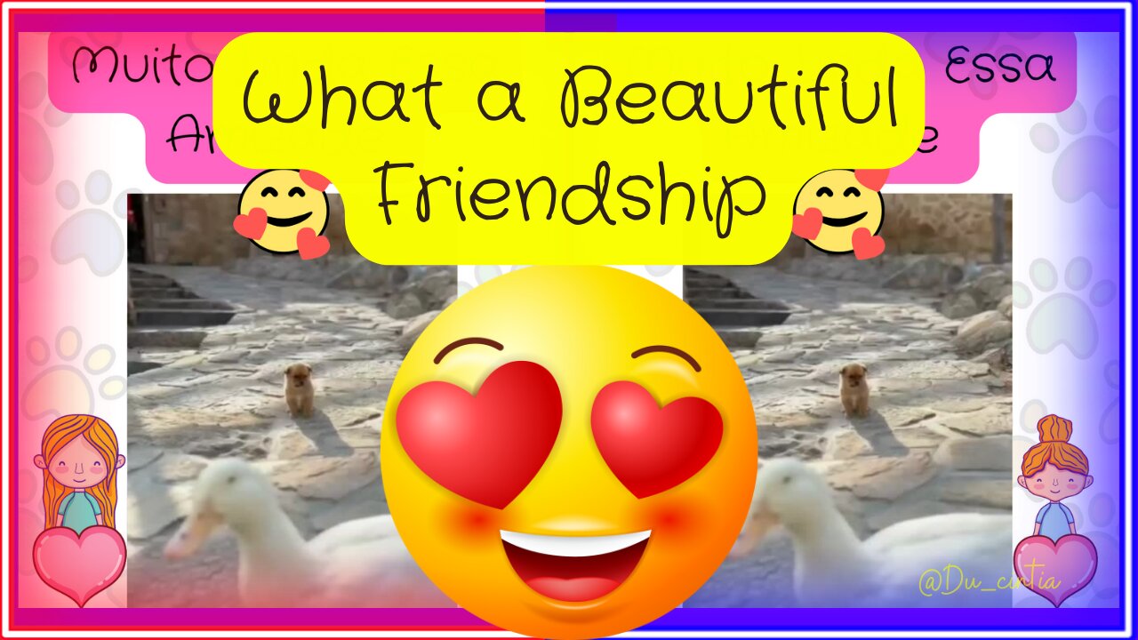 😍 What a Beautiful Friendship 😍 Funny Video 😁