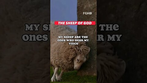 Do You Hear The Voice Of God #shorts