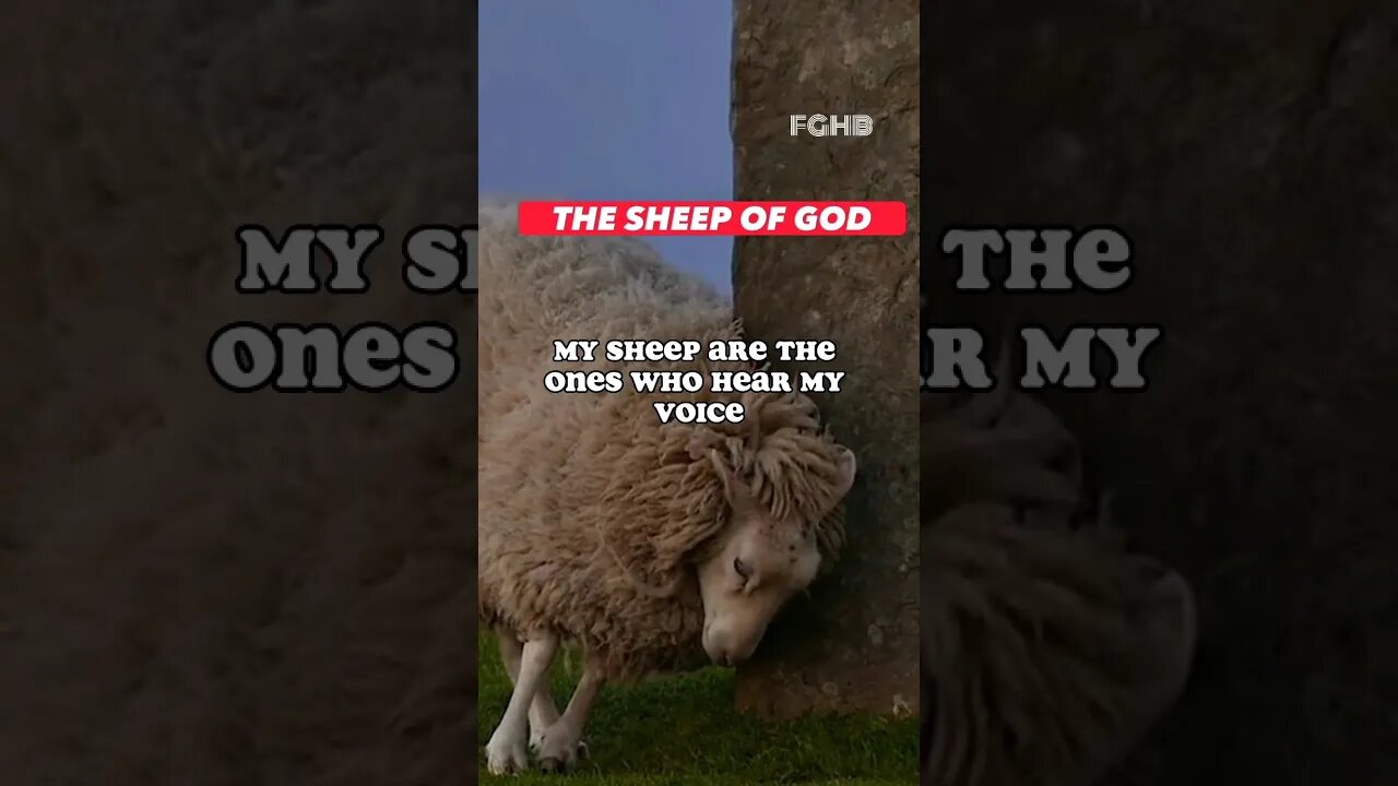 Do You Hear The Voice Of God #shorts
