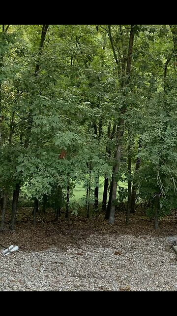 Eyes to see the best