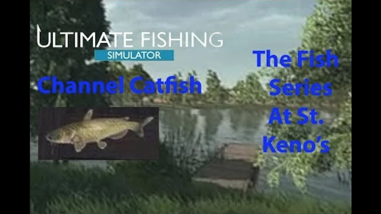 Ultimate Fishing Simulator: The Fish - St. Kenos - Channel Catfish - [00019]