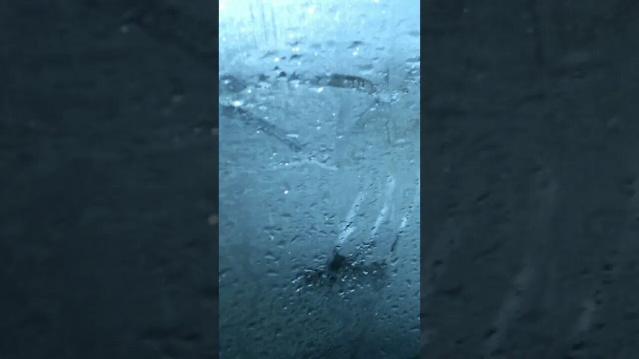 Rain🌧️#history#fact#information#education#education#reels#video#amazingfact#viral#viralvideo#rain
