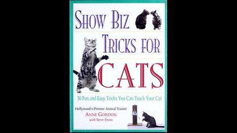 30 Tricks To Teach Your Cat