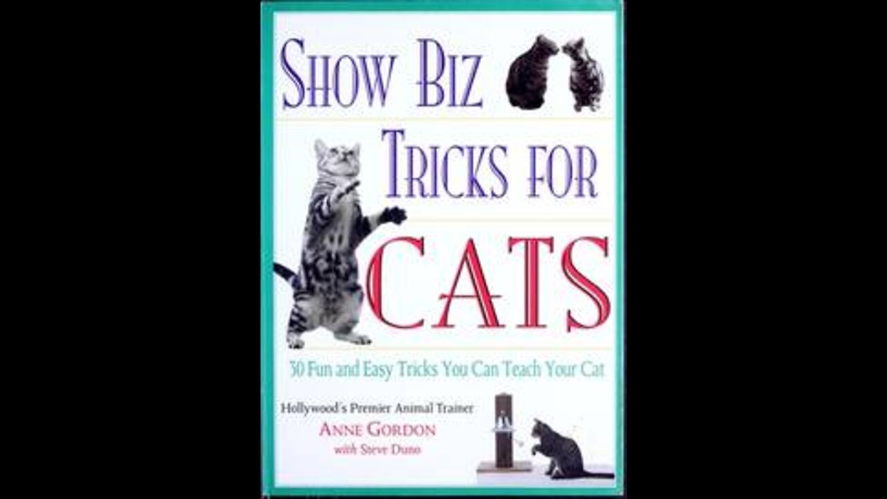 30 Tricks To Teach Your Cat