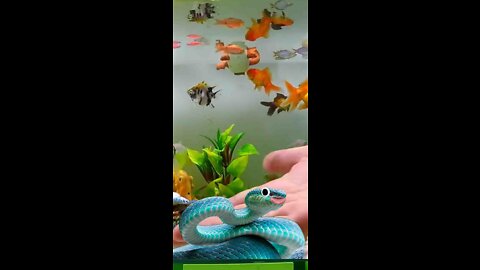 This video shows how much human love can be with anything.