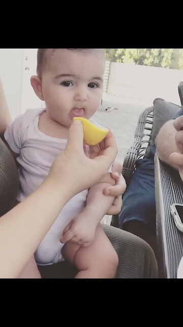 Baby girl surprisingly loves tasting lemons