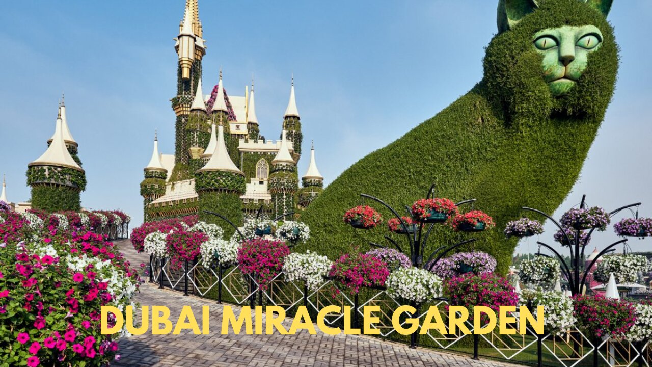 Dubai Miracle Garden | The Best Place to Visit in Dubai, UAE 2022