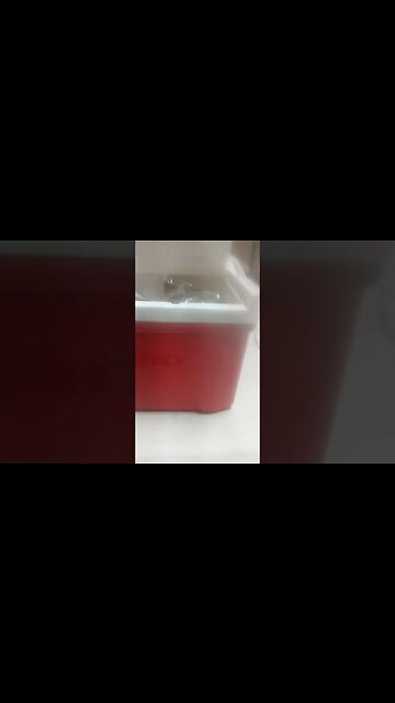 Da Missus Packs my Lunch...