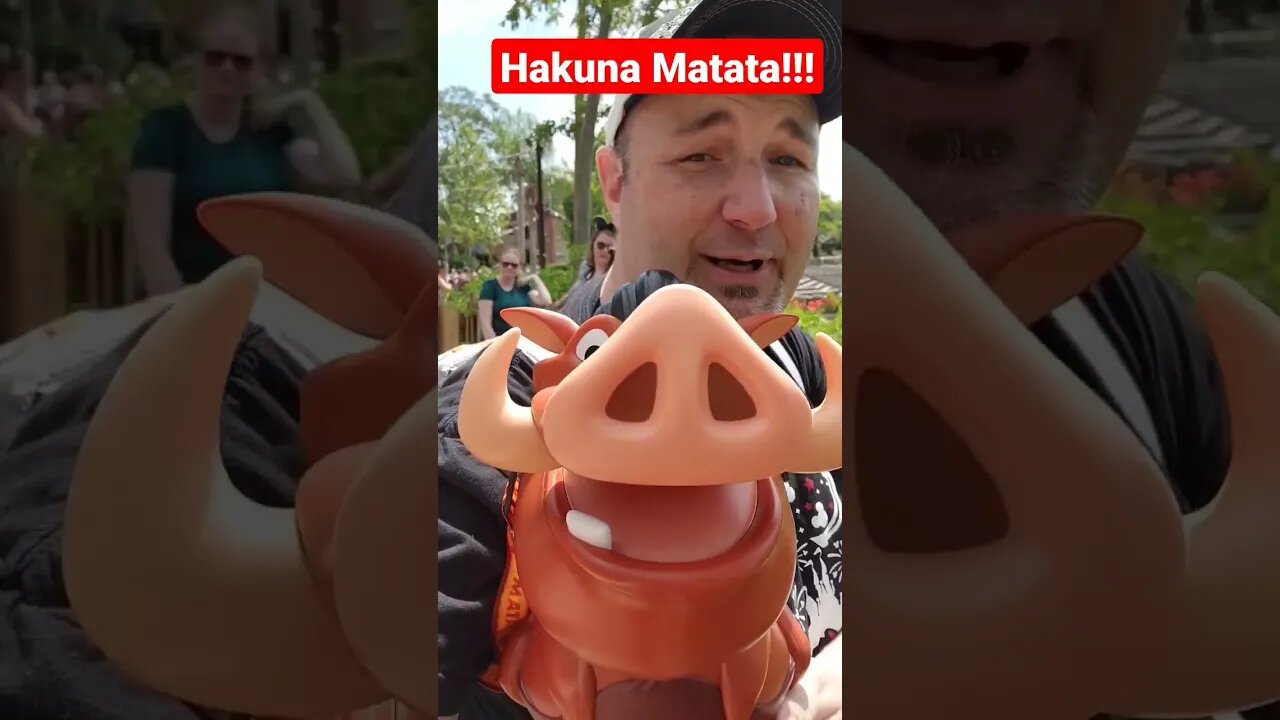 Hakuna Mo'Popcorn! Check Out The Pumba Popcorn Bucket!