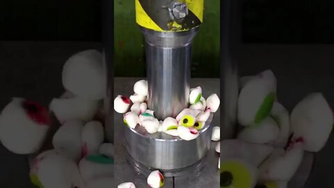 Do you see a fly on this video