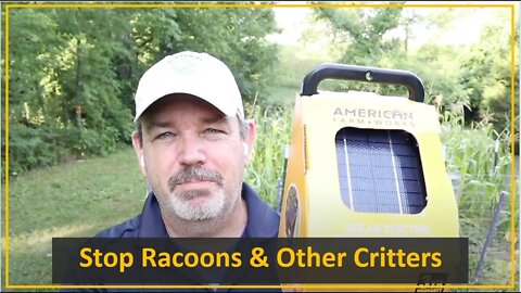 TNT #130: Stop Raccoons from Destroying your Garden / Corn Field
