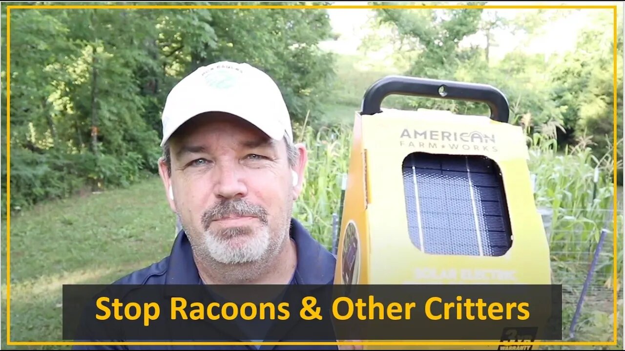 TNT #130: Stop Raccoons from Destroying your Garden / Corn Field