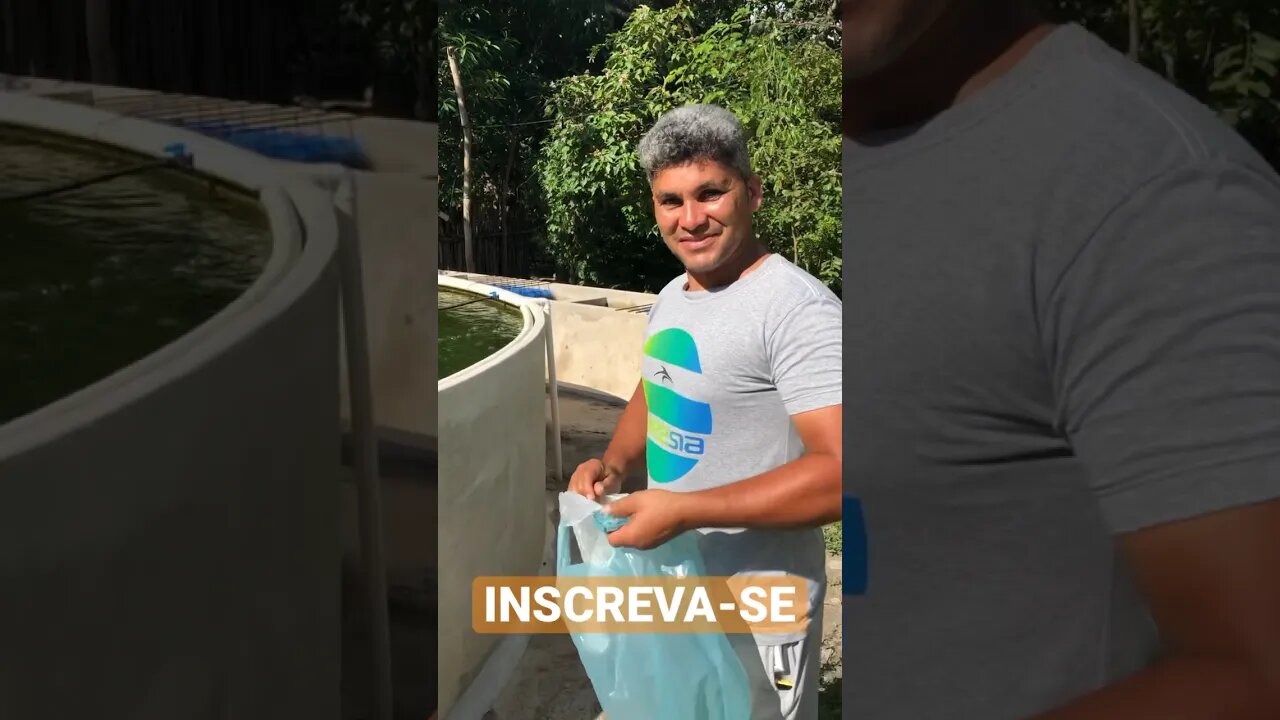 CHAGUINHA PESCADOR ALIMENTANDO PEIXES DO CHICO MUSEU