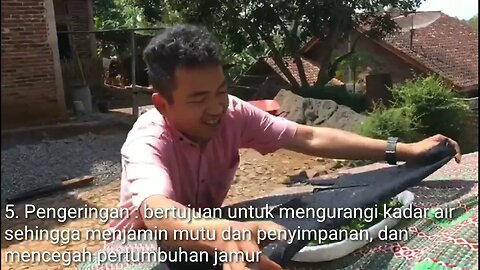 Pembuatan Simplisia Daun sirsak