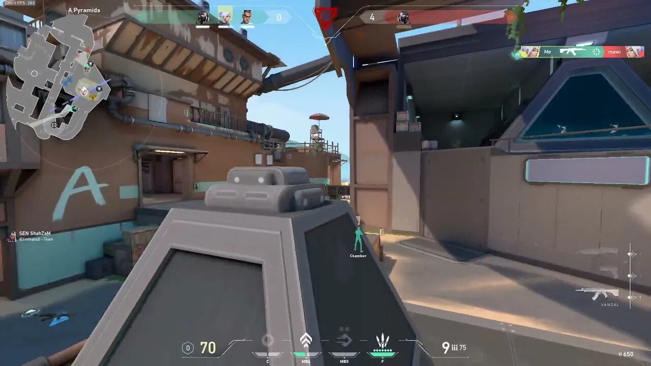 TENZ READY for Champions