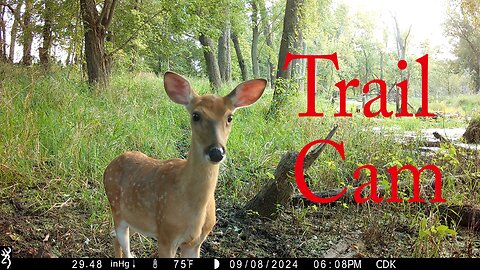 Trail Camera Adventure Episode 7