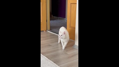 Kliniğe gelmemek için direnenlerde bugün instag short video