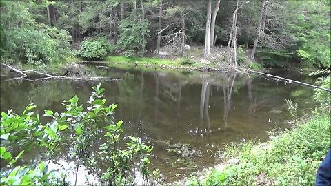 Fishing For Lunch With My Banggood Fishing Rod And Reel
