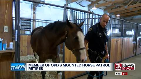 Mounted patrol horse retires