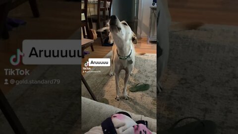 Howling Dog