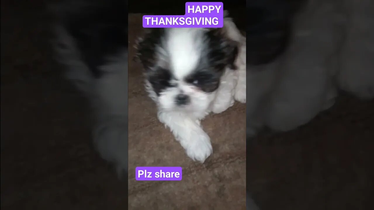 #Thanksgiving #rchelpmore @rchelpmore