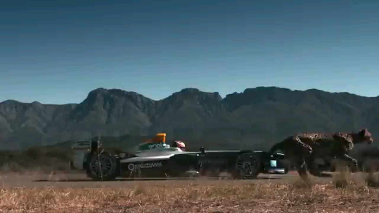 Race betwen Cheeta vs Formula one