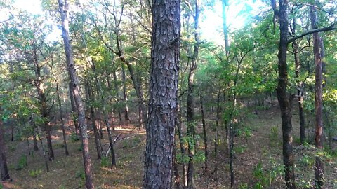 Arkansas Deer Hunting - Muzzleloader Opening Day 2022-18