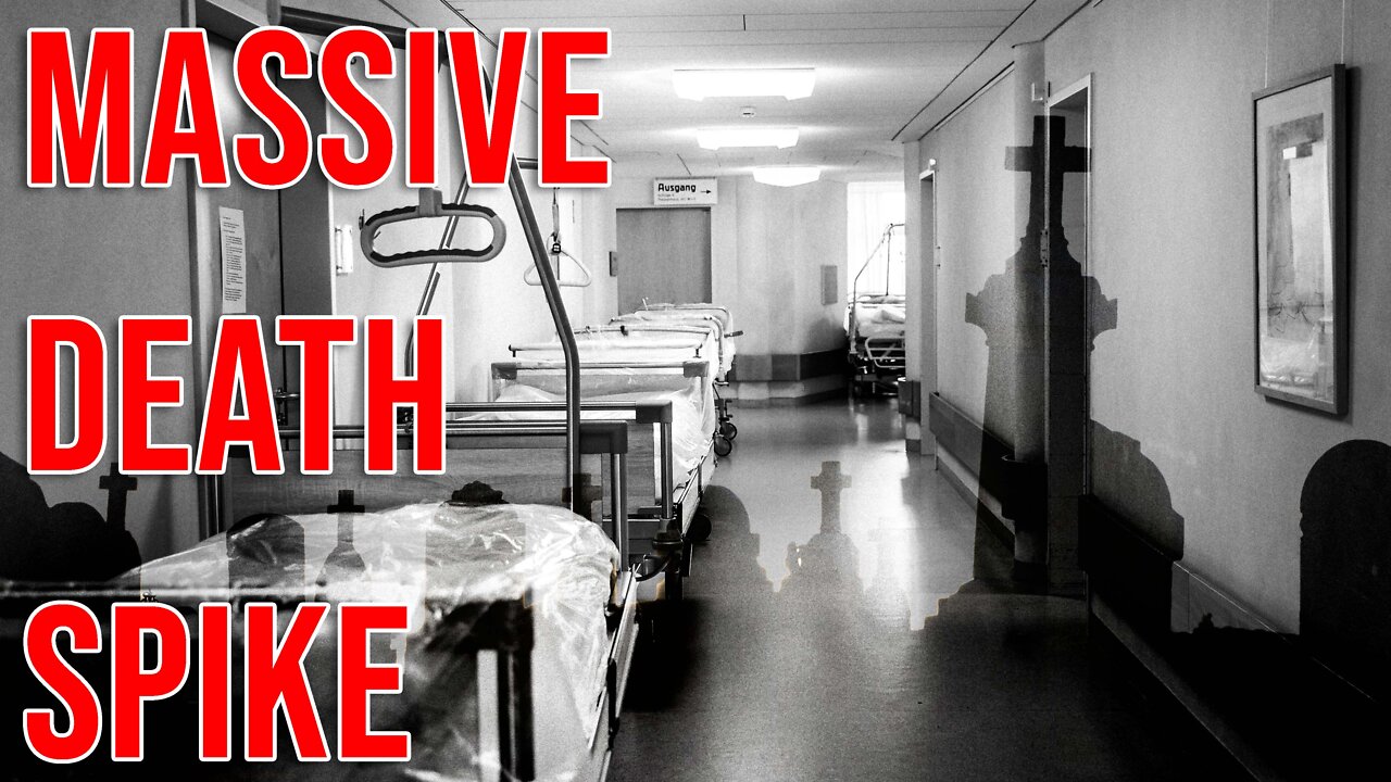 More Insurers See MASSIVE Increase in Non-Covid Deaths