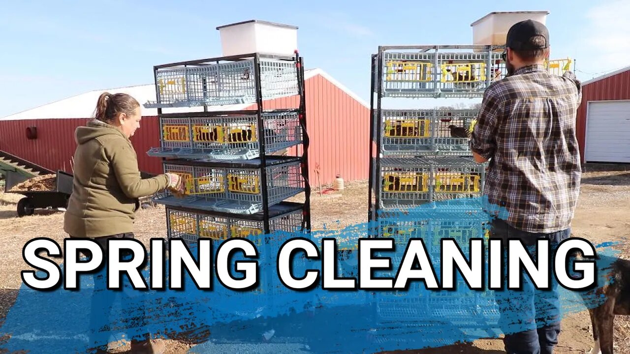 Time To Get The Quail Moved To The Barn | Deep Cleaning The HatchingTime Quail Hutches | Organizing