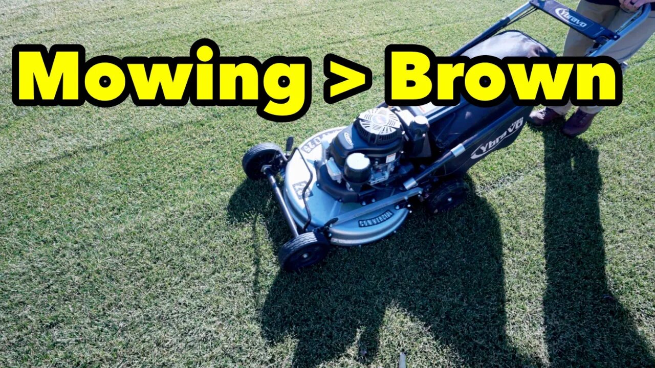 Mowing Lawn How To Remove Winter Brown From Your Lawn