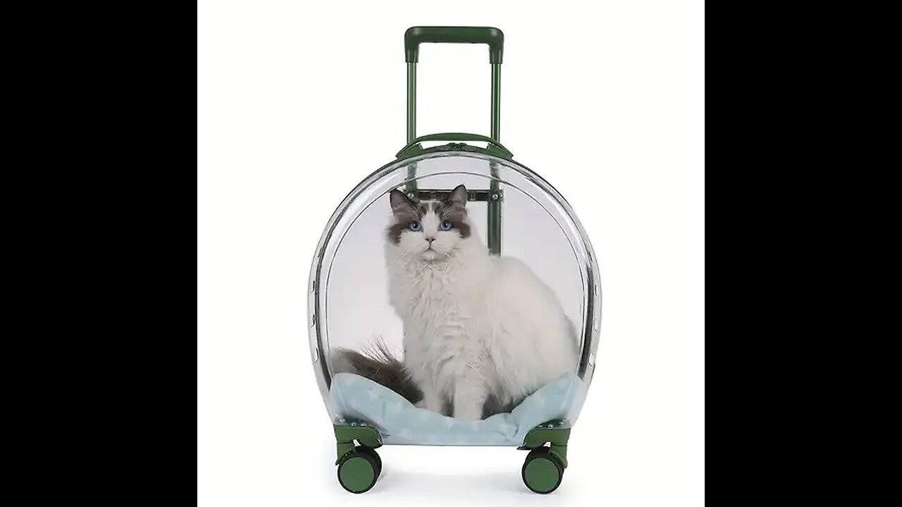"Enjoy a Comfortable and Safe Outdoor Experience with the Stylish and Luxurious Cat Hiking Backpack"