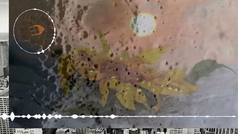 Meditação Consciente #22[[Você imagina os benefícios na mente e no corpo? ]]