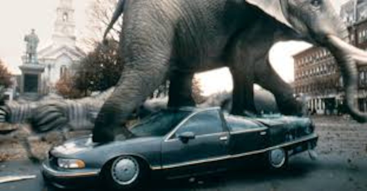 Animals in the wild are far from the problems of humans